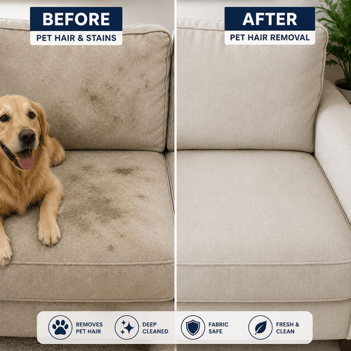 Before and after pet hair removal